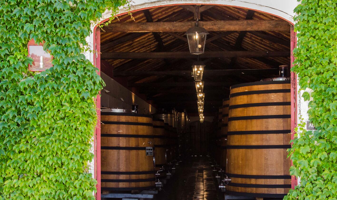 Reynolds Wine Growers – Visita & Prova Clássica