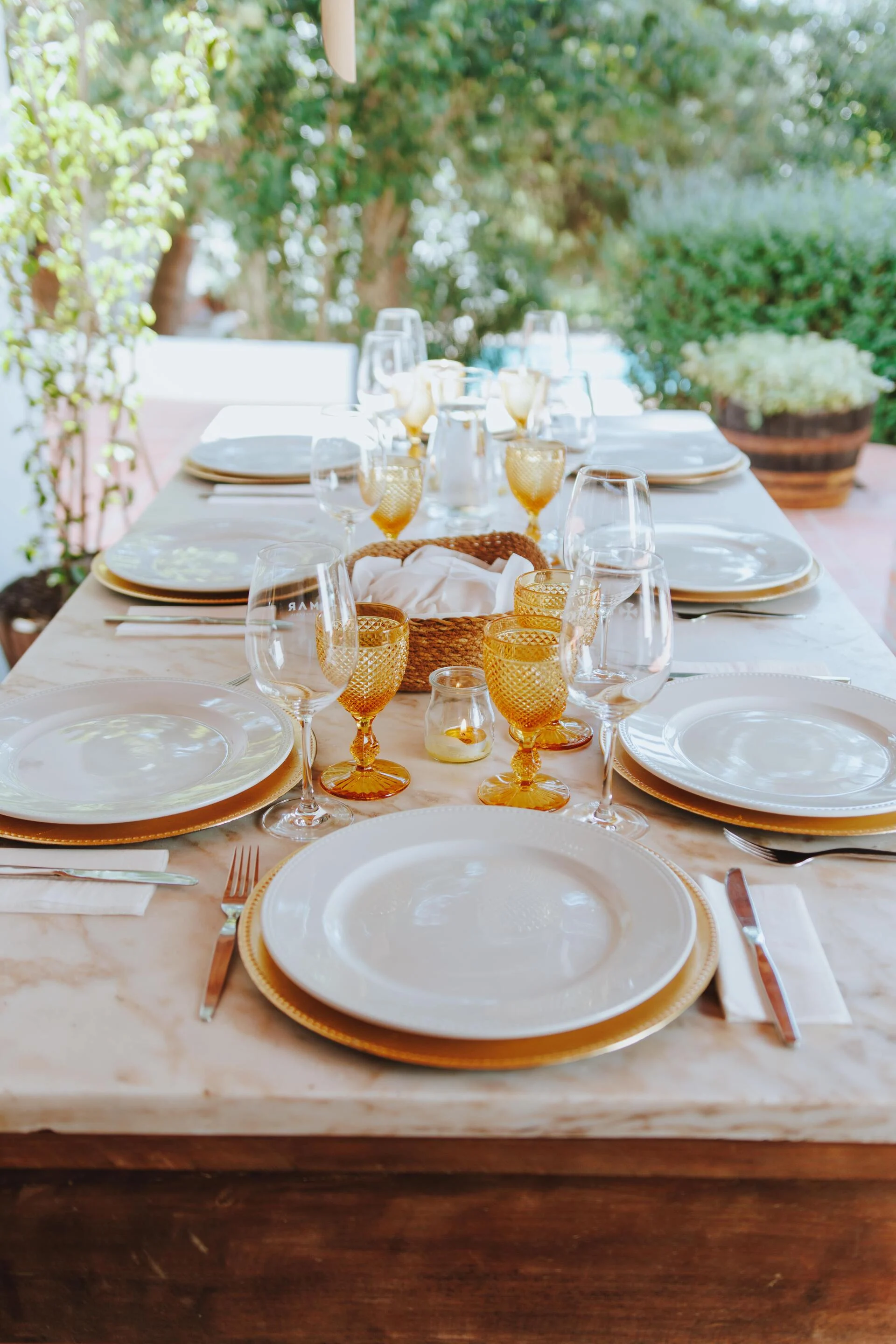 Adega da Gaveta – Programa de Vindimas