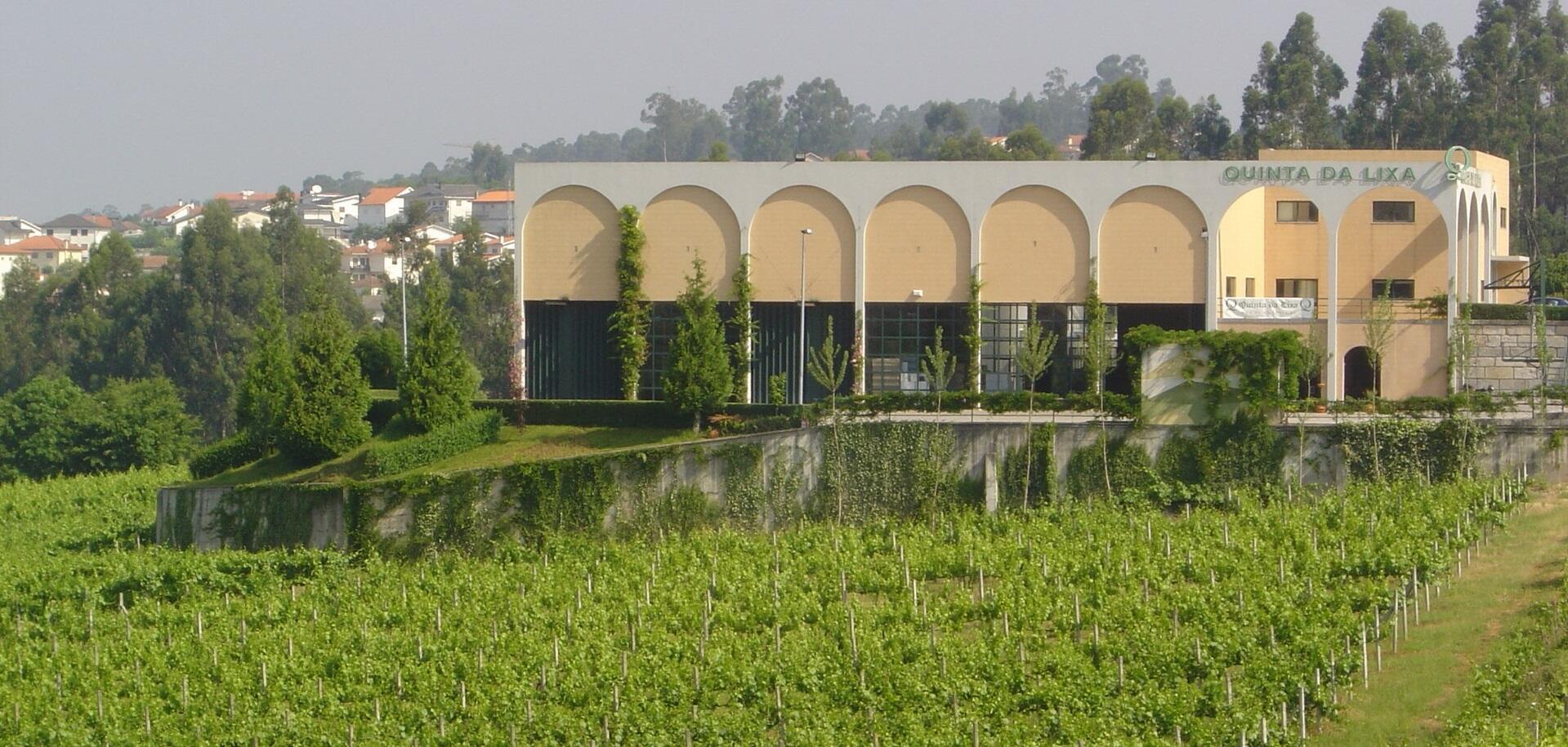 Quinta da Lixa – Visita & Prova Os Alvarinhos