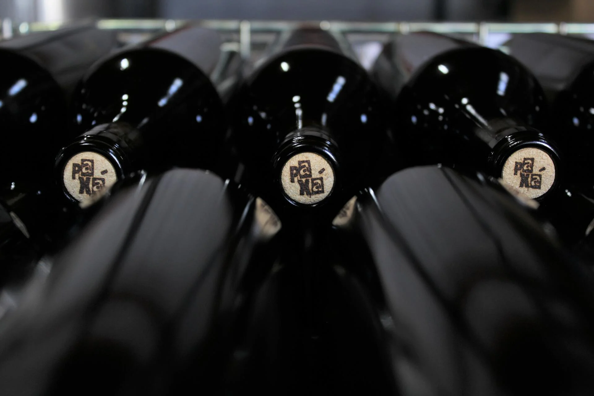 Paxá Wines – Visita & Prova Premium