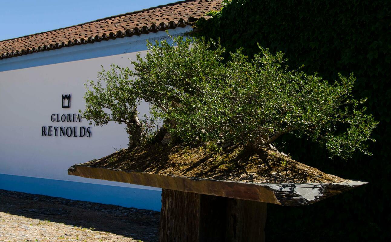 Reynolds Wine Growers – Visita & Prova Clássica