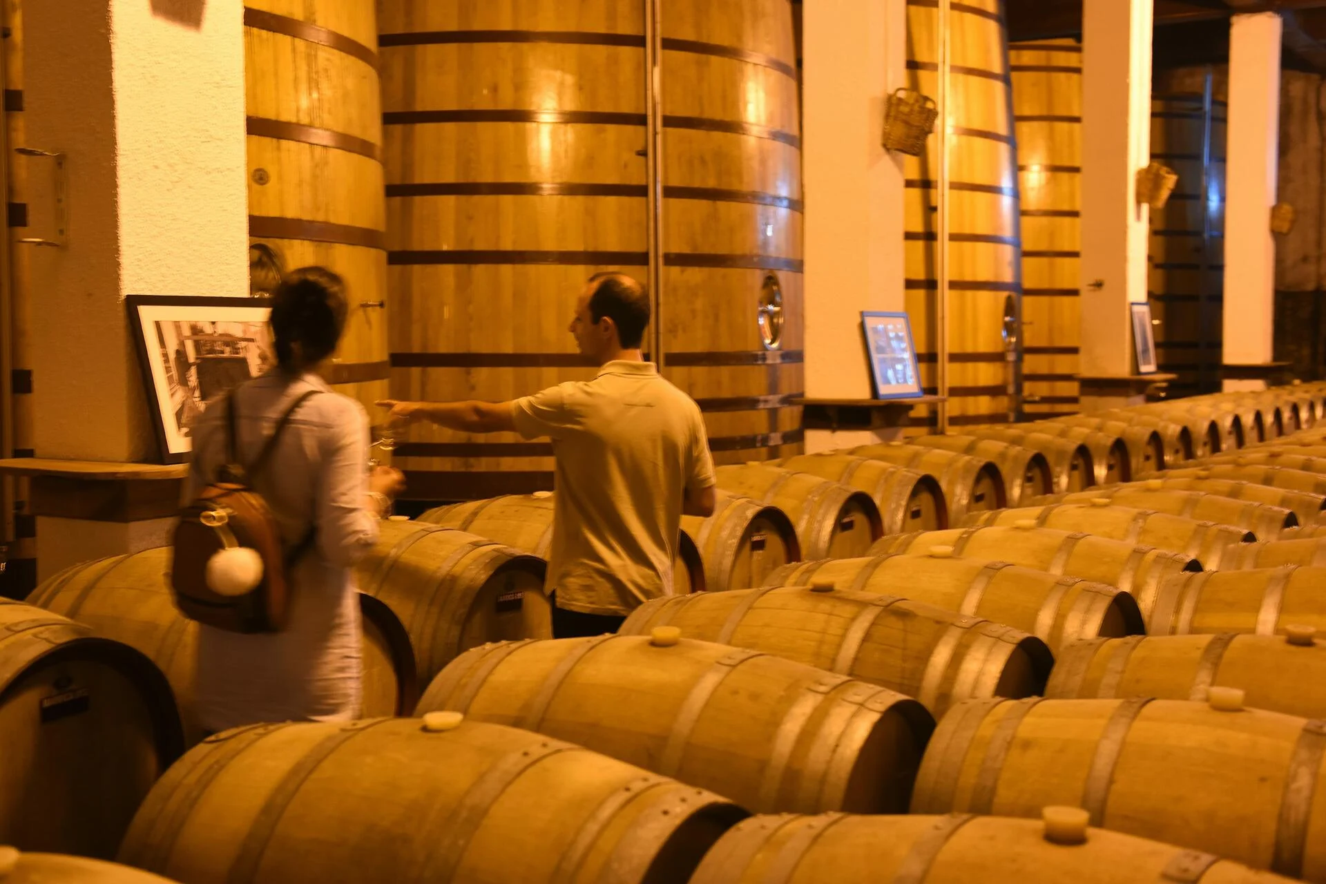 Quinta da Avessada – Experienciar Favaios