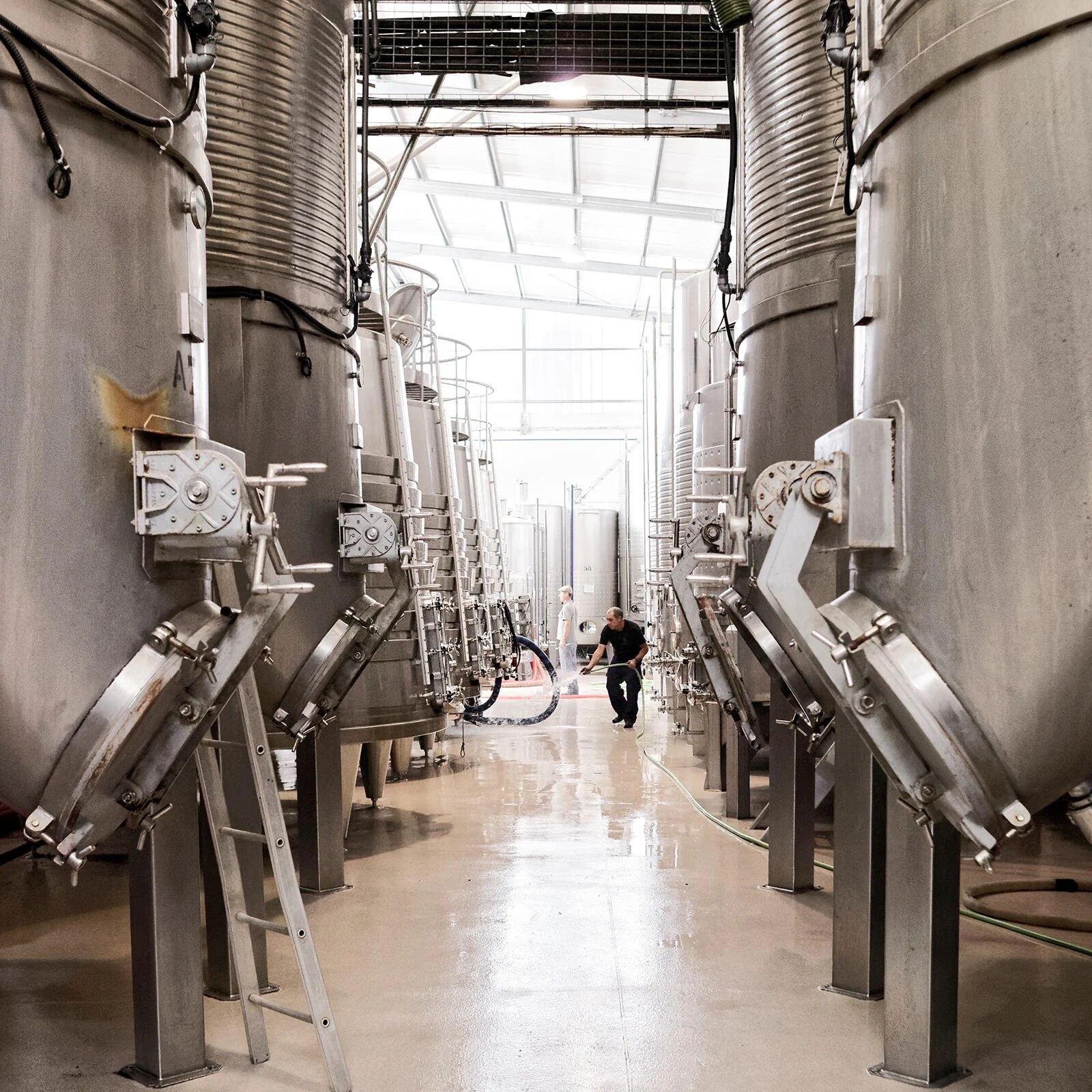 Quinta do Gradil – Piquenicar nas Vinhas