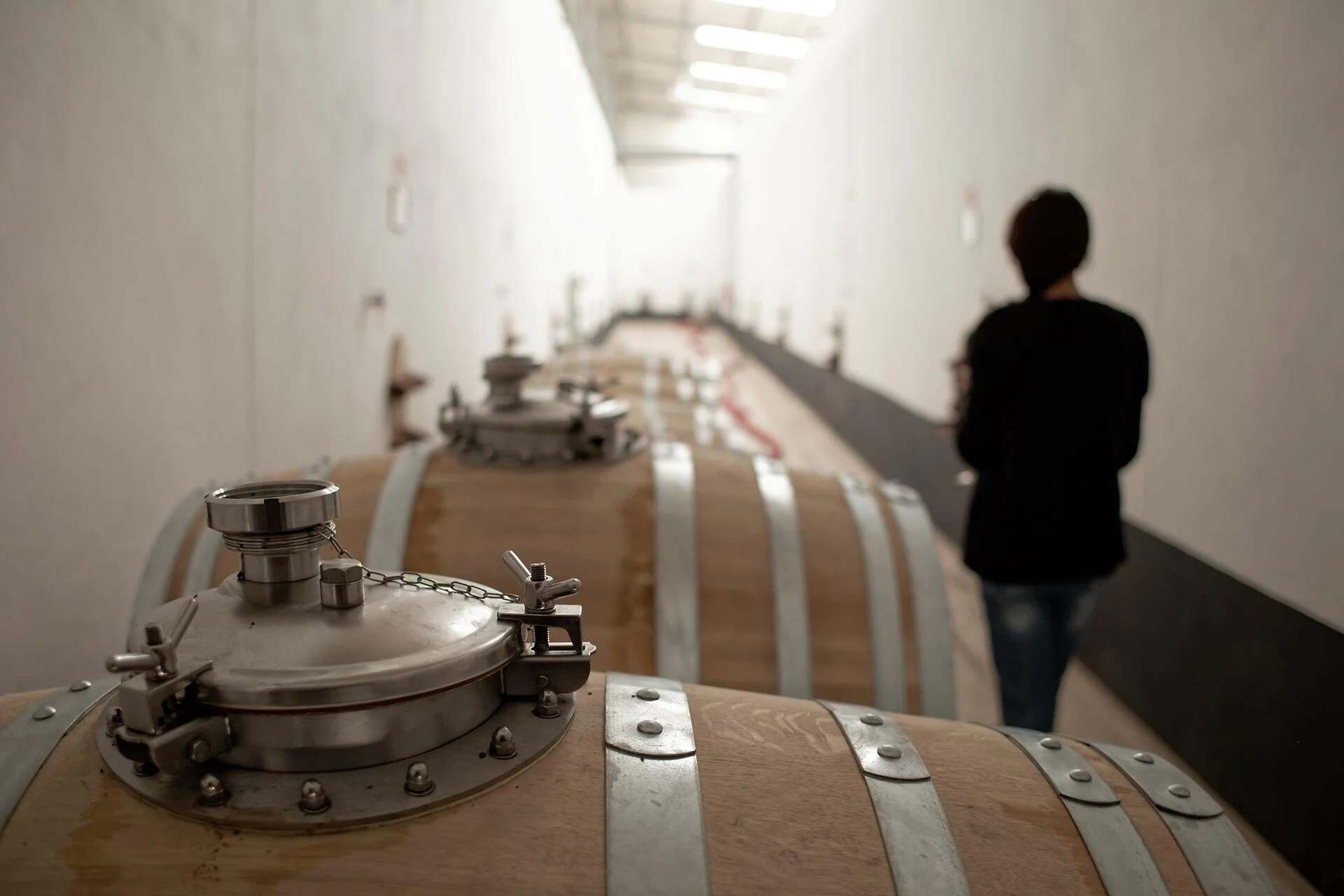 Quinta do Gradil – Piquenicar nas Vinhas