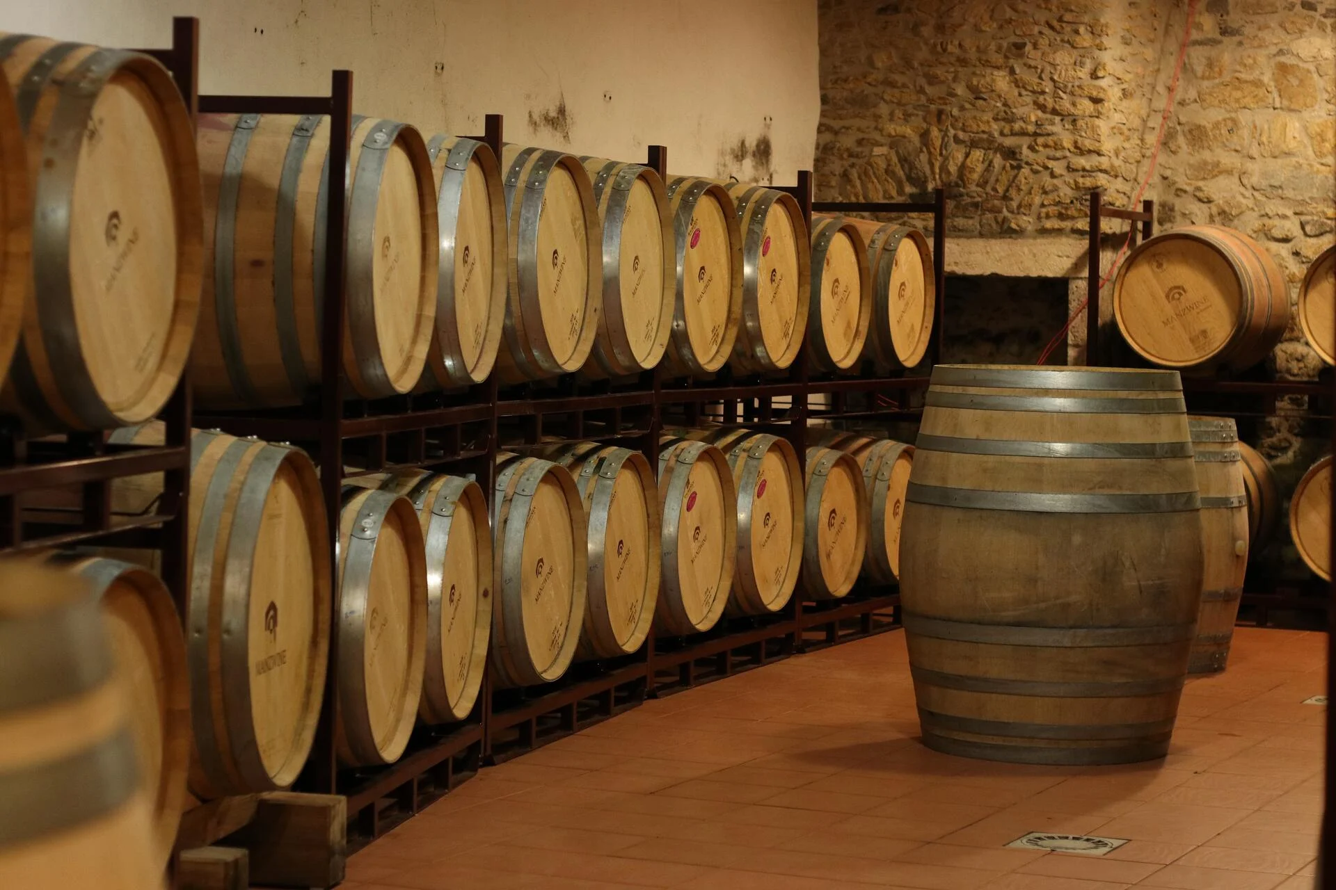 Manzwine – Crescer & Aprender