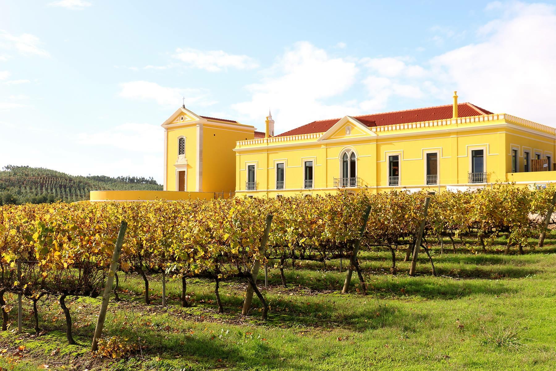Quinta do Gradil – Vindimas na Quinta