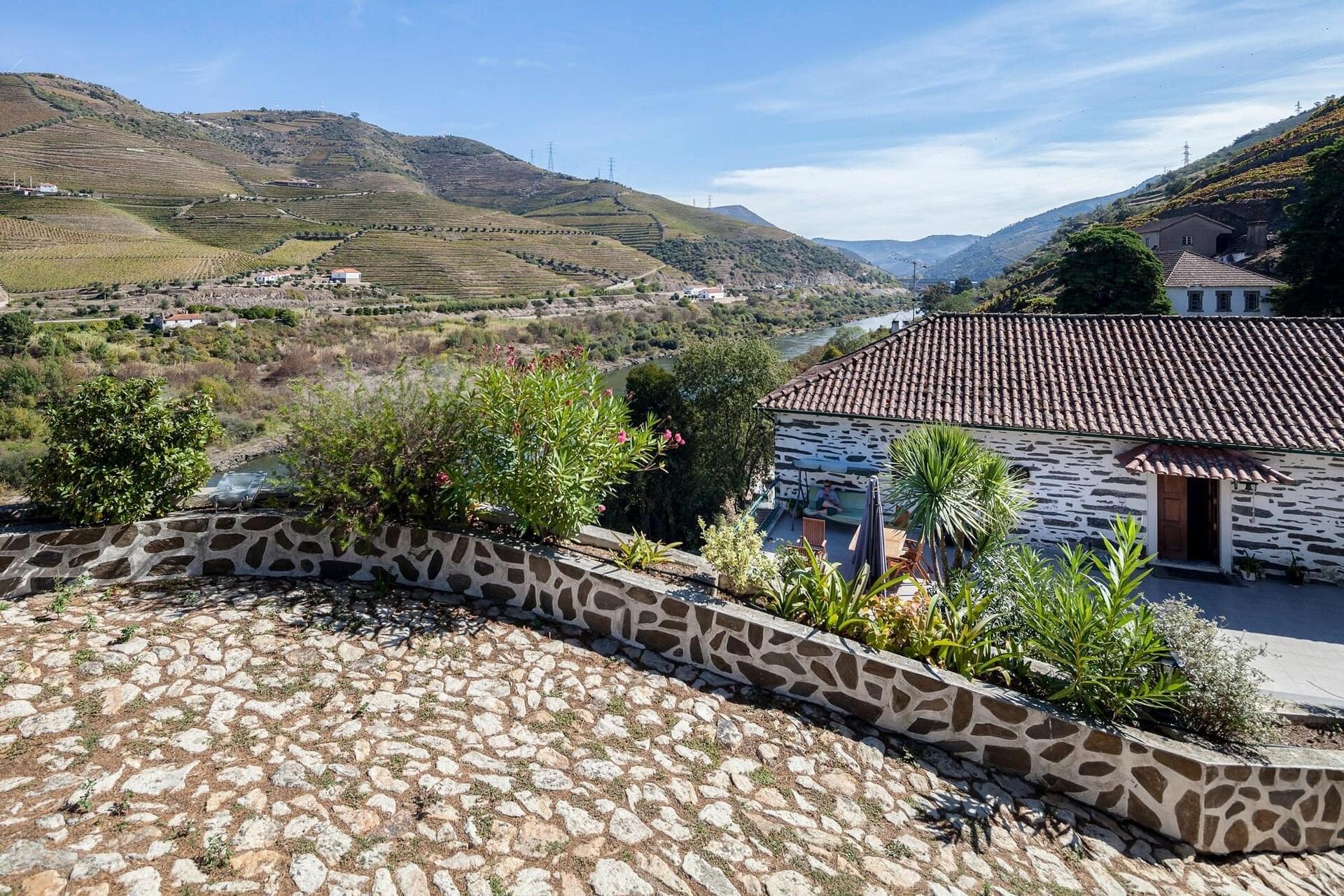 Quinta de Marrocos – Dia de Vindima no Douro