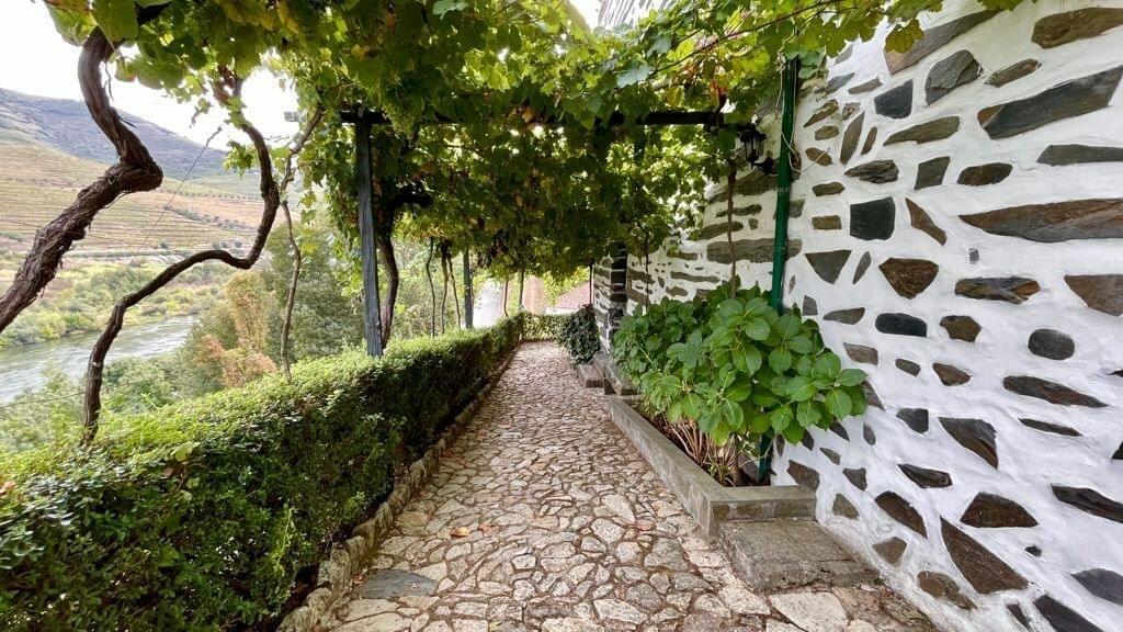 Quinta de Marrocos – Dia de Vindima no Douro