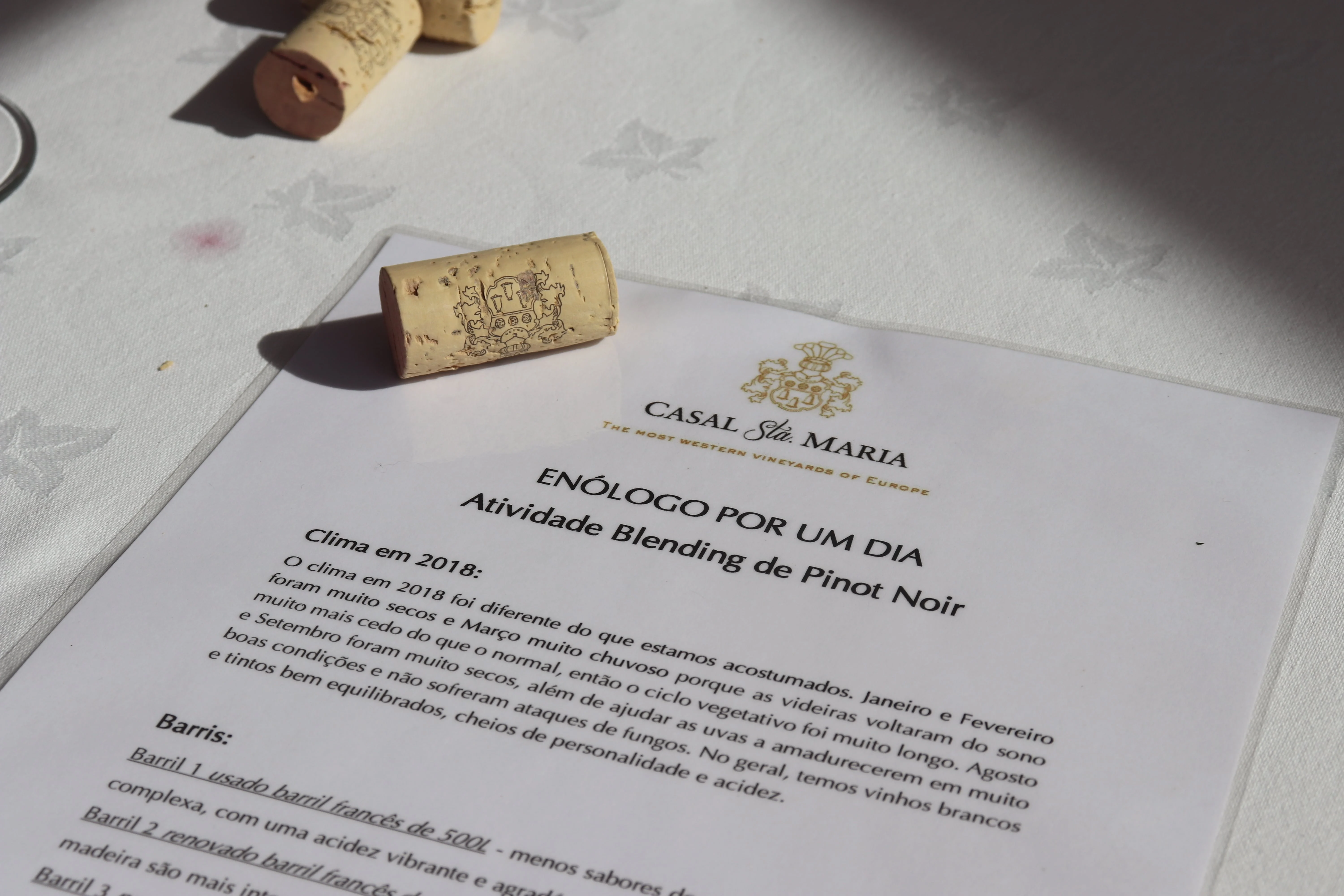 Casal Sta. Maria – Blending Vinho Personalizado