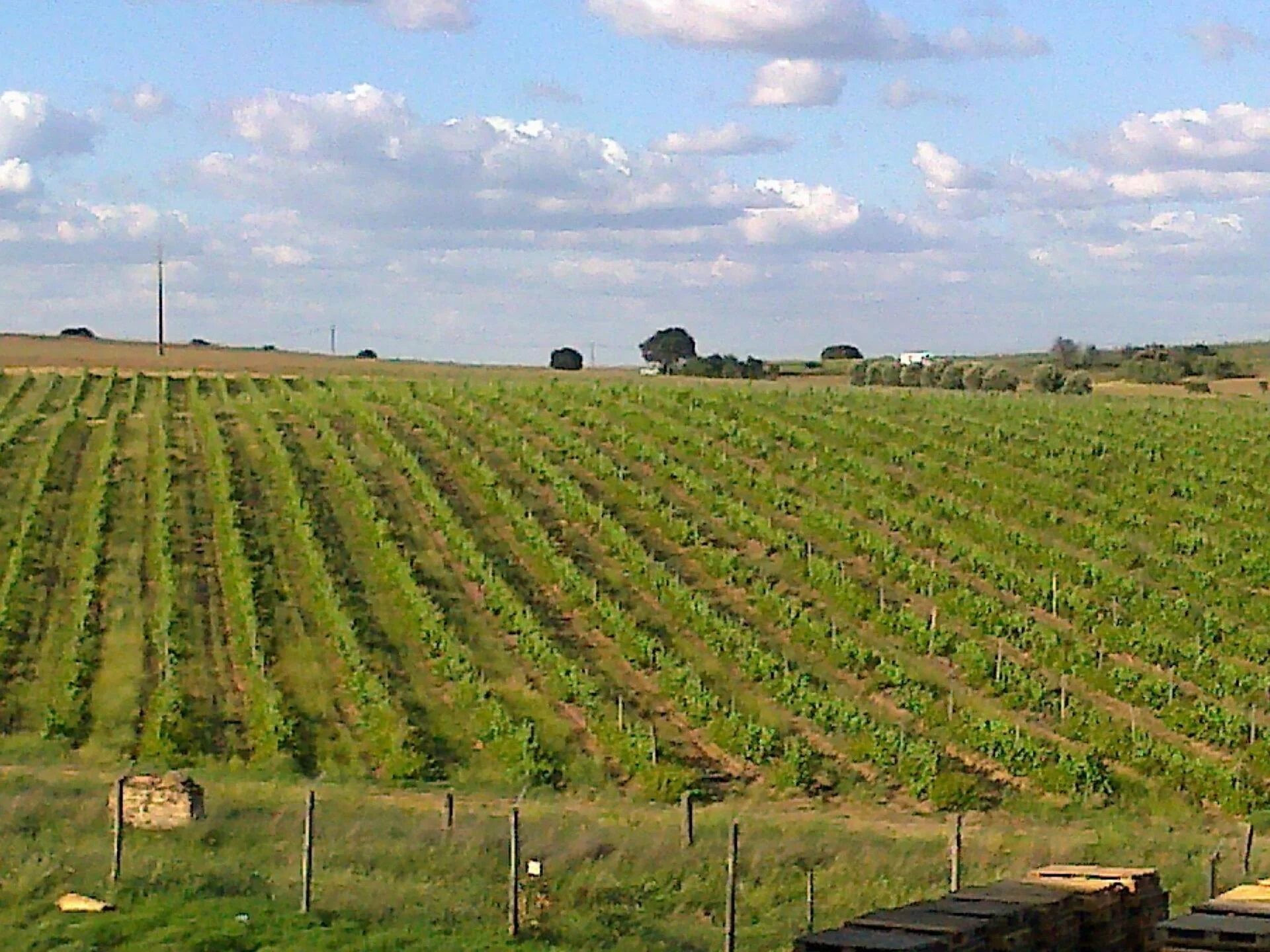 Ervideira – Prova Terras D’Ervideira