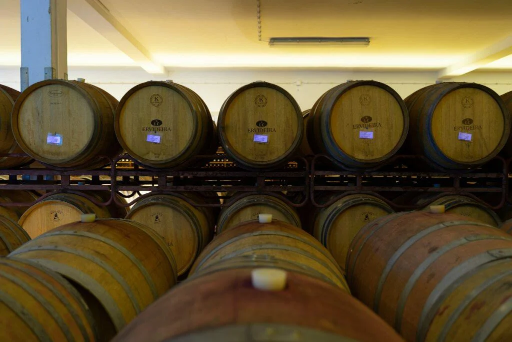 Ervideira – Prova Terras D’Ervideira