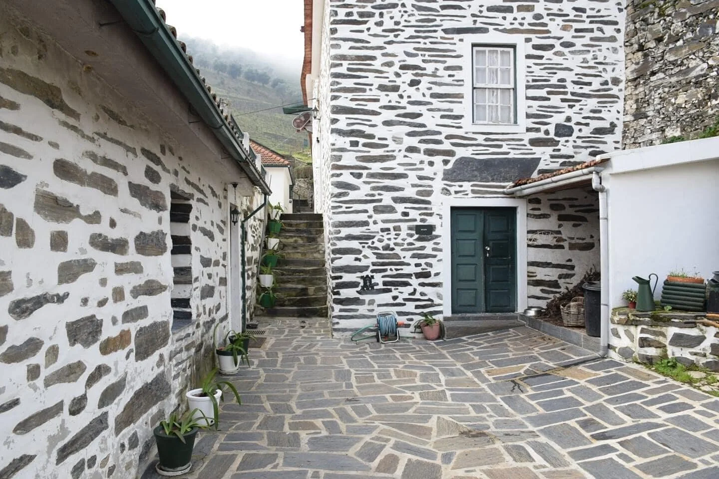 Quinta de Marrocos – Dia de Vindima no Douro