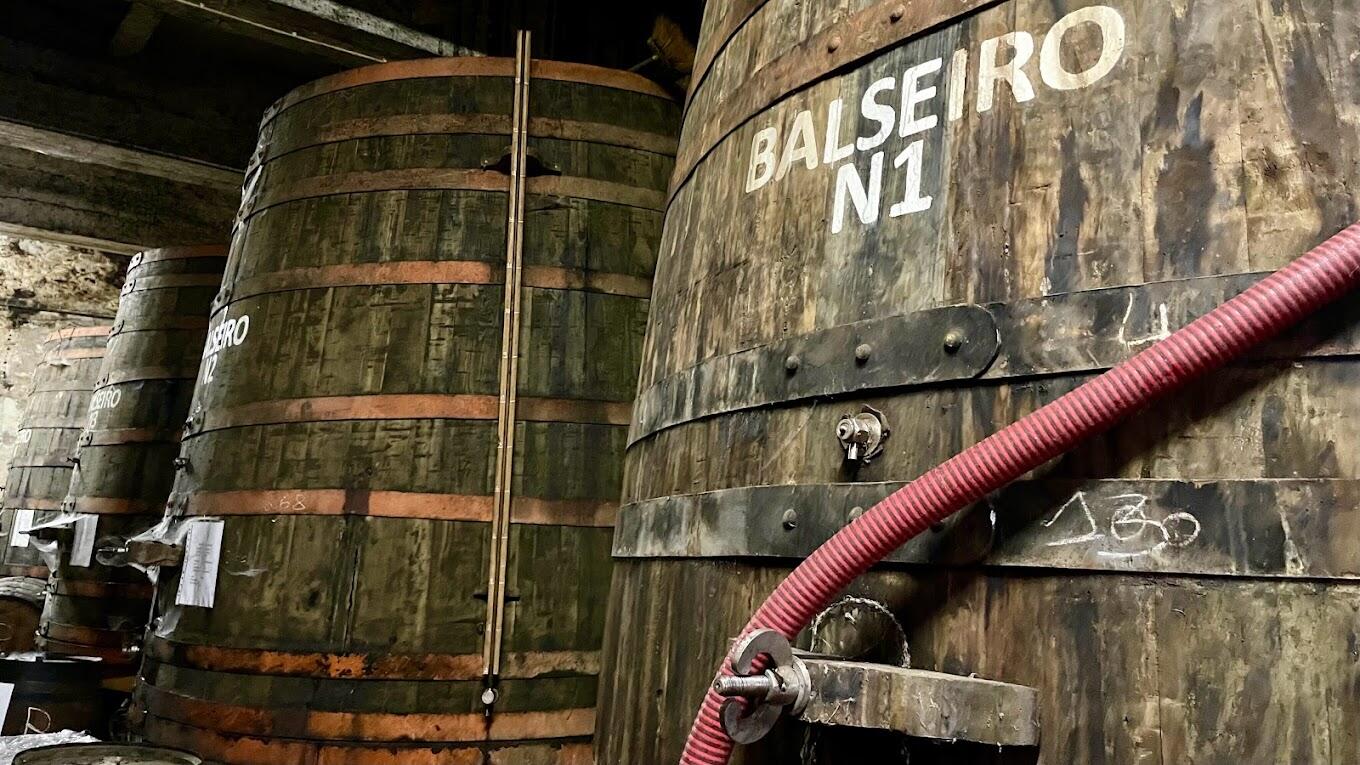 Quinta de Marrocos – À Descoberta de Tesouros