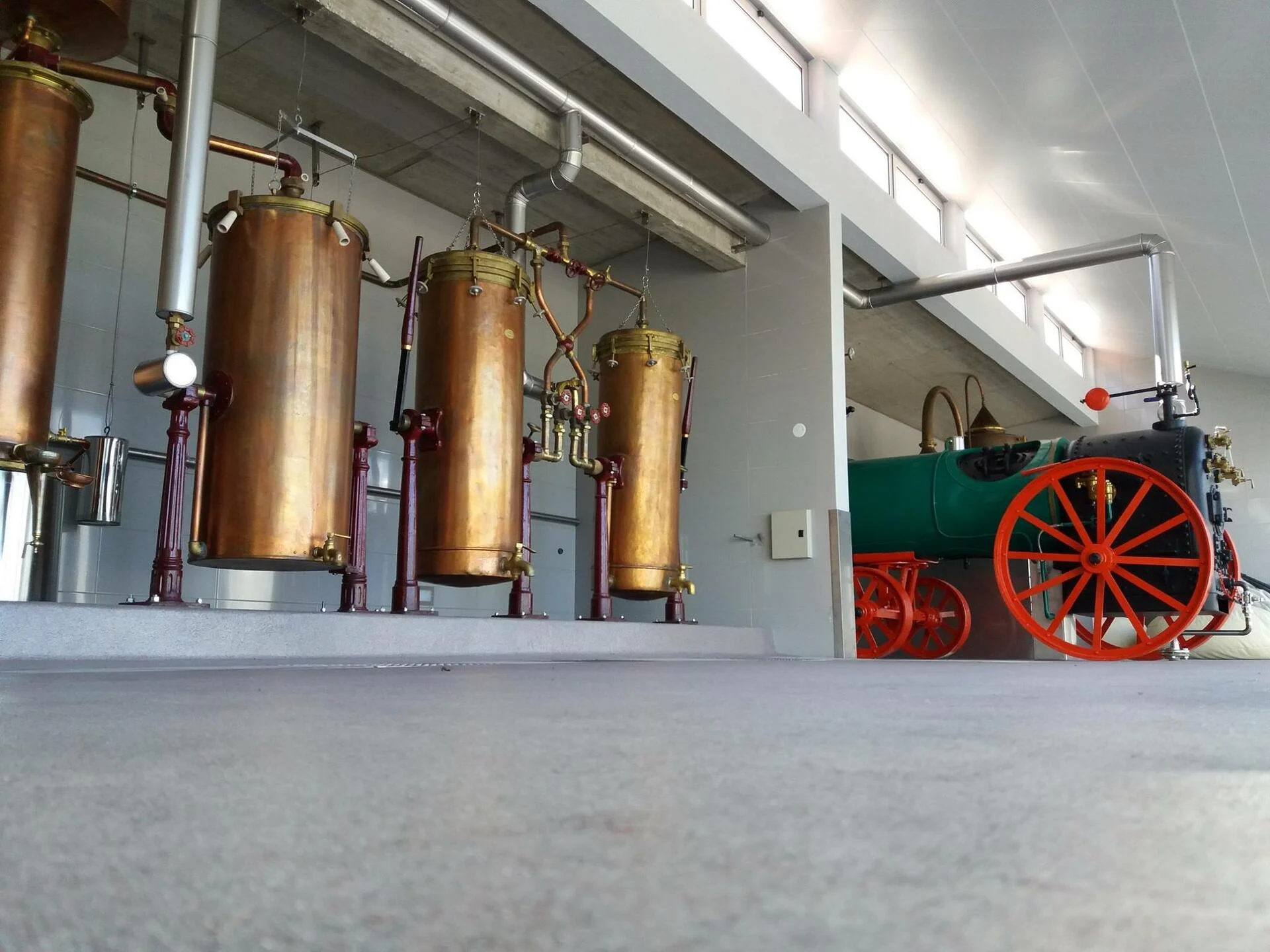 Brejinho da Costa – Visita & Prova Colheita