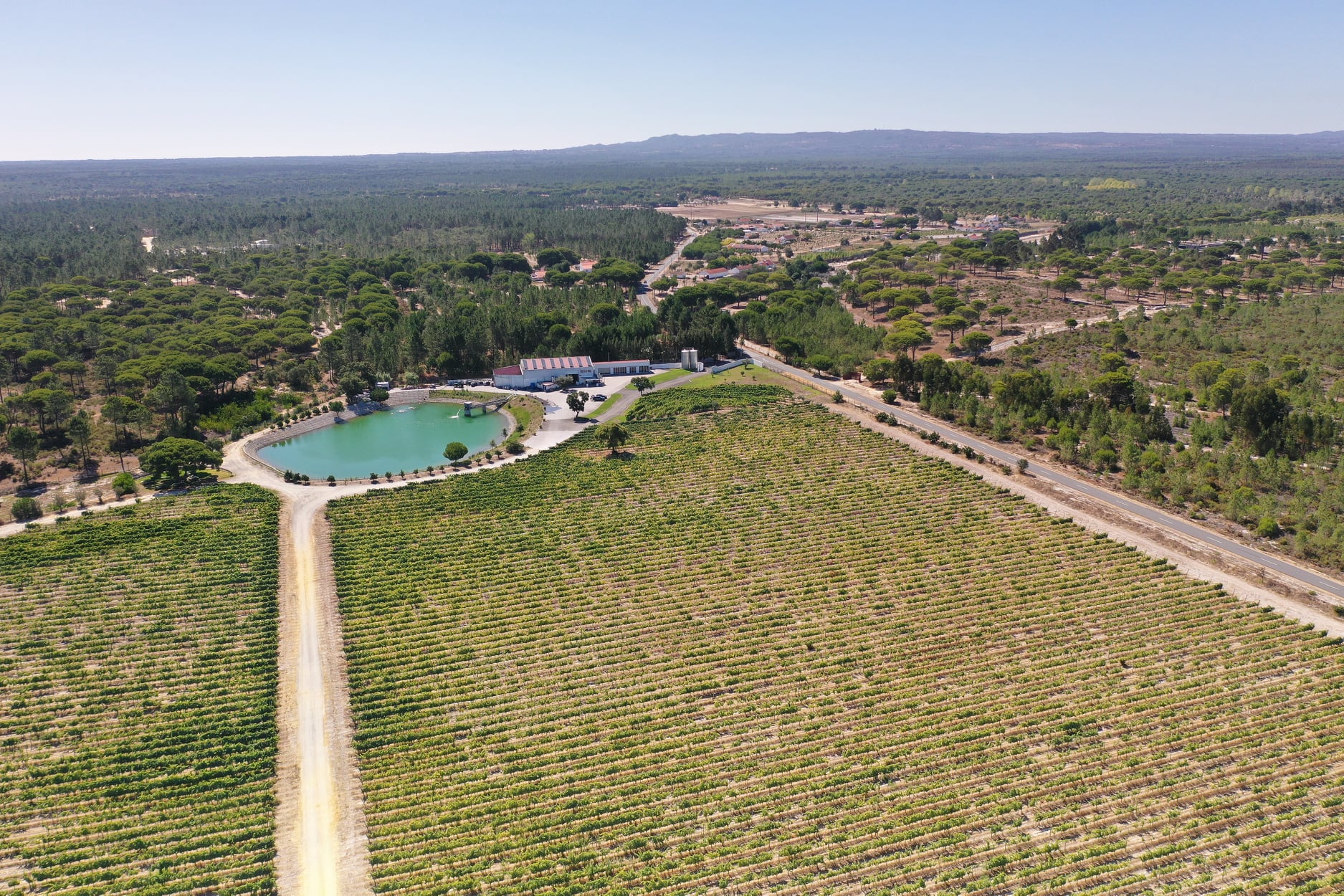 Brejinho da Costa – Visita & Prova Reserva