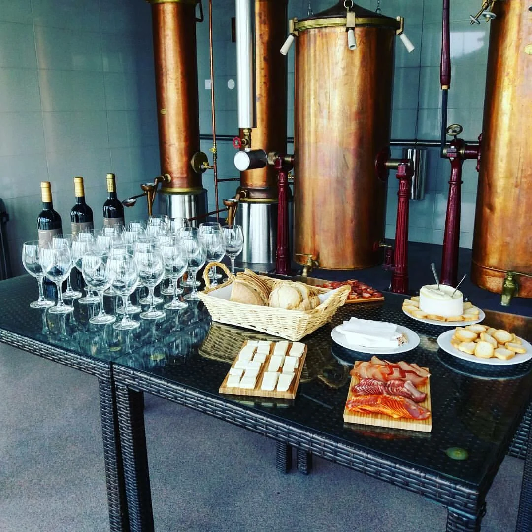 Brejinho da Costa – Visita & Prova Colheita