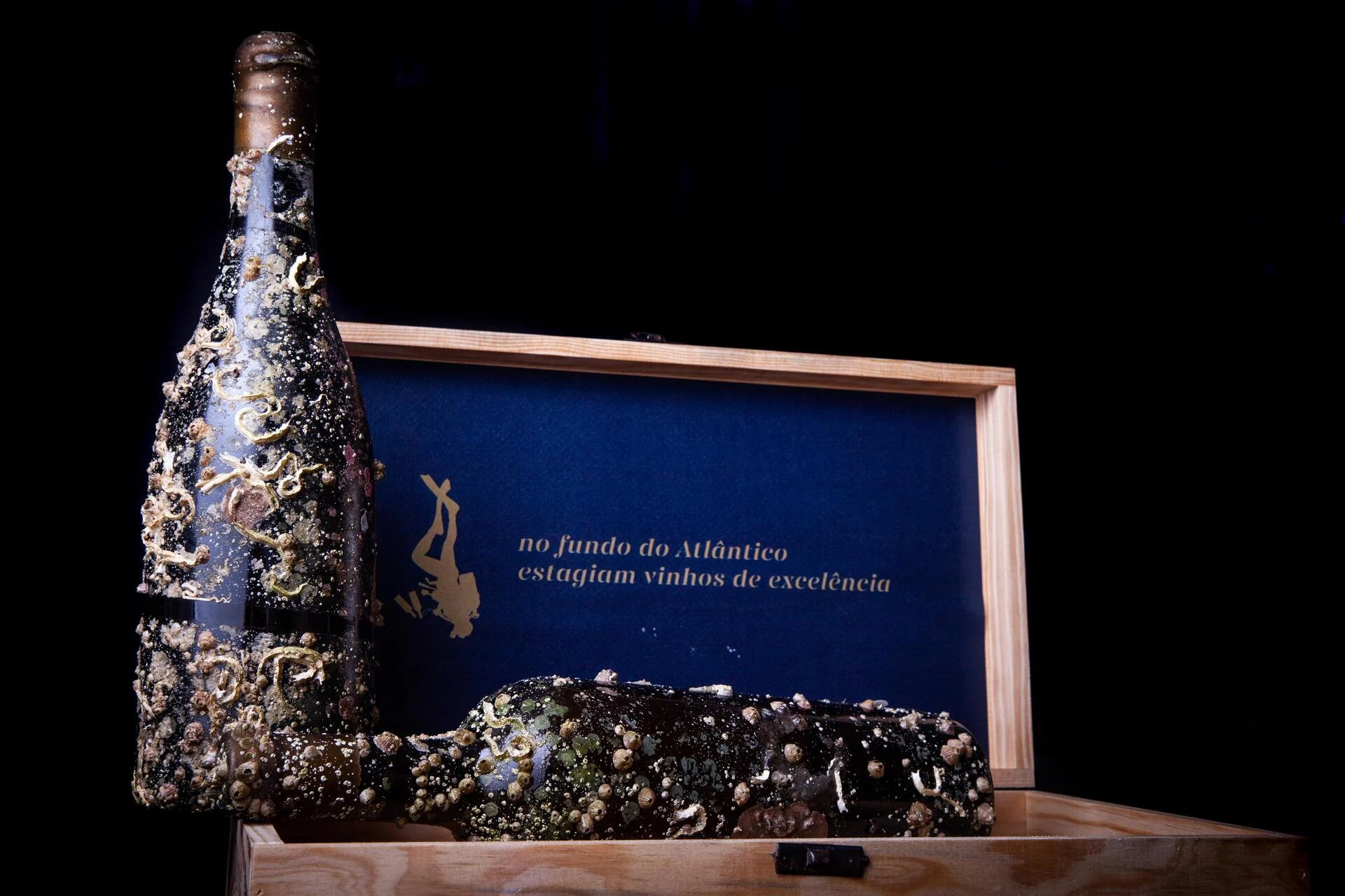 Brejinho da Costa – Mergulho no Atlântico