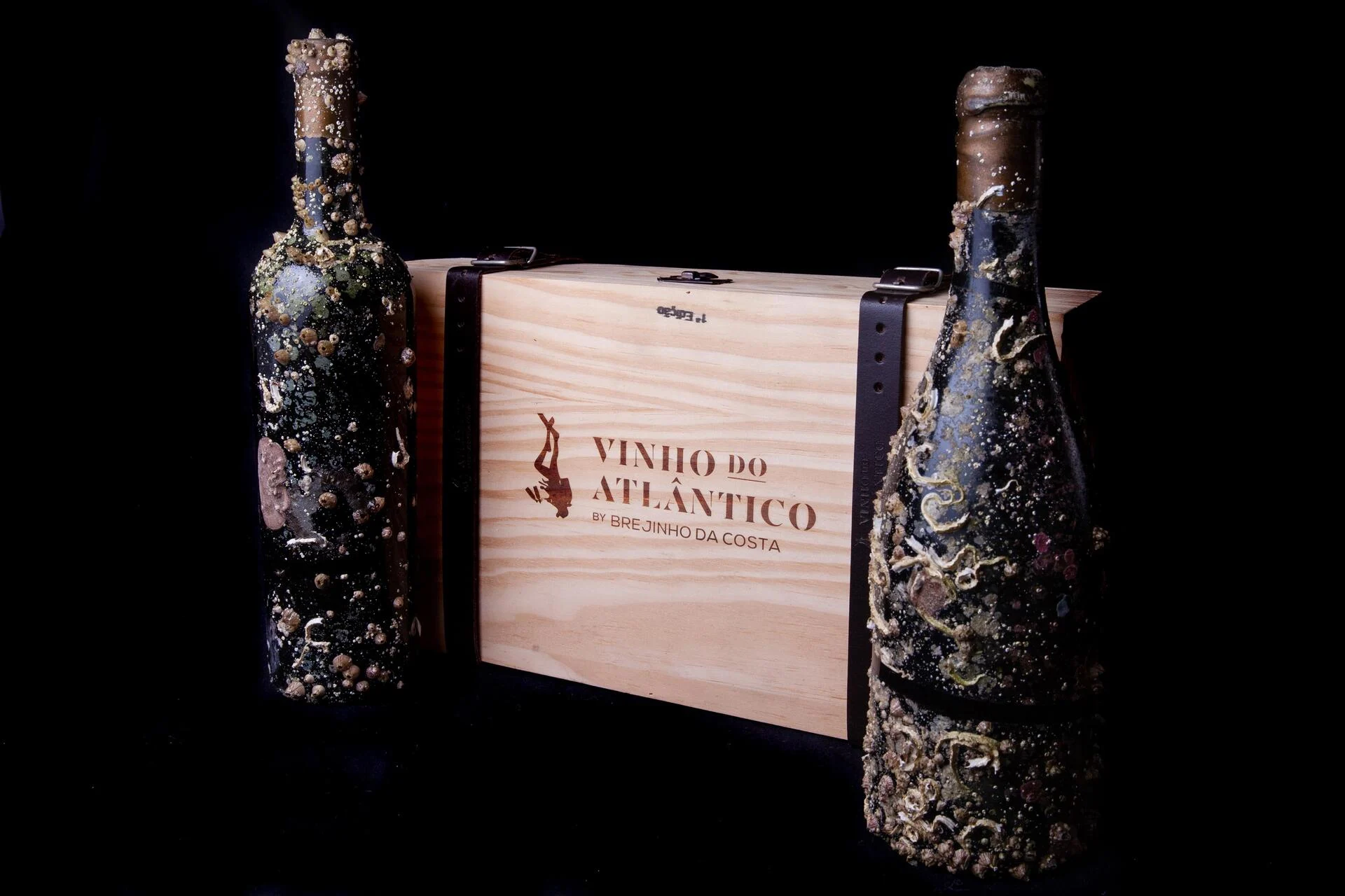 Brejinho da Costa – Mergulho no Atlântico