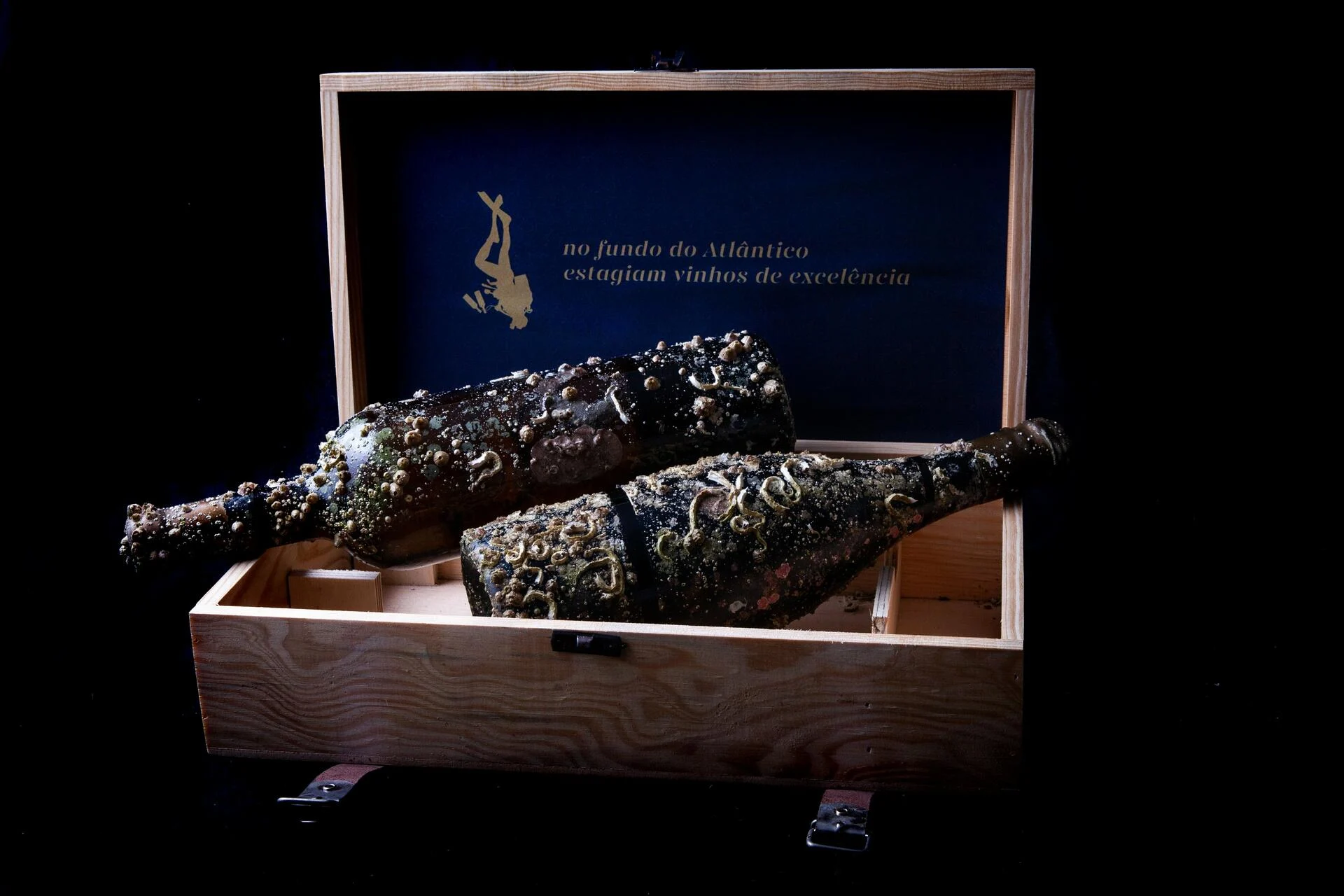 Brejinho da Costa – Mergulho no Atlântico