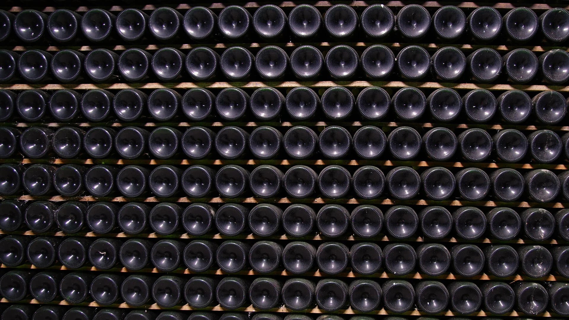 Real Cave do Cedro – Visita & Prova de 2 Vinhos