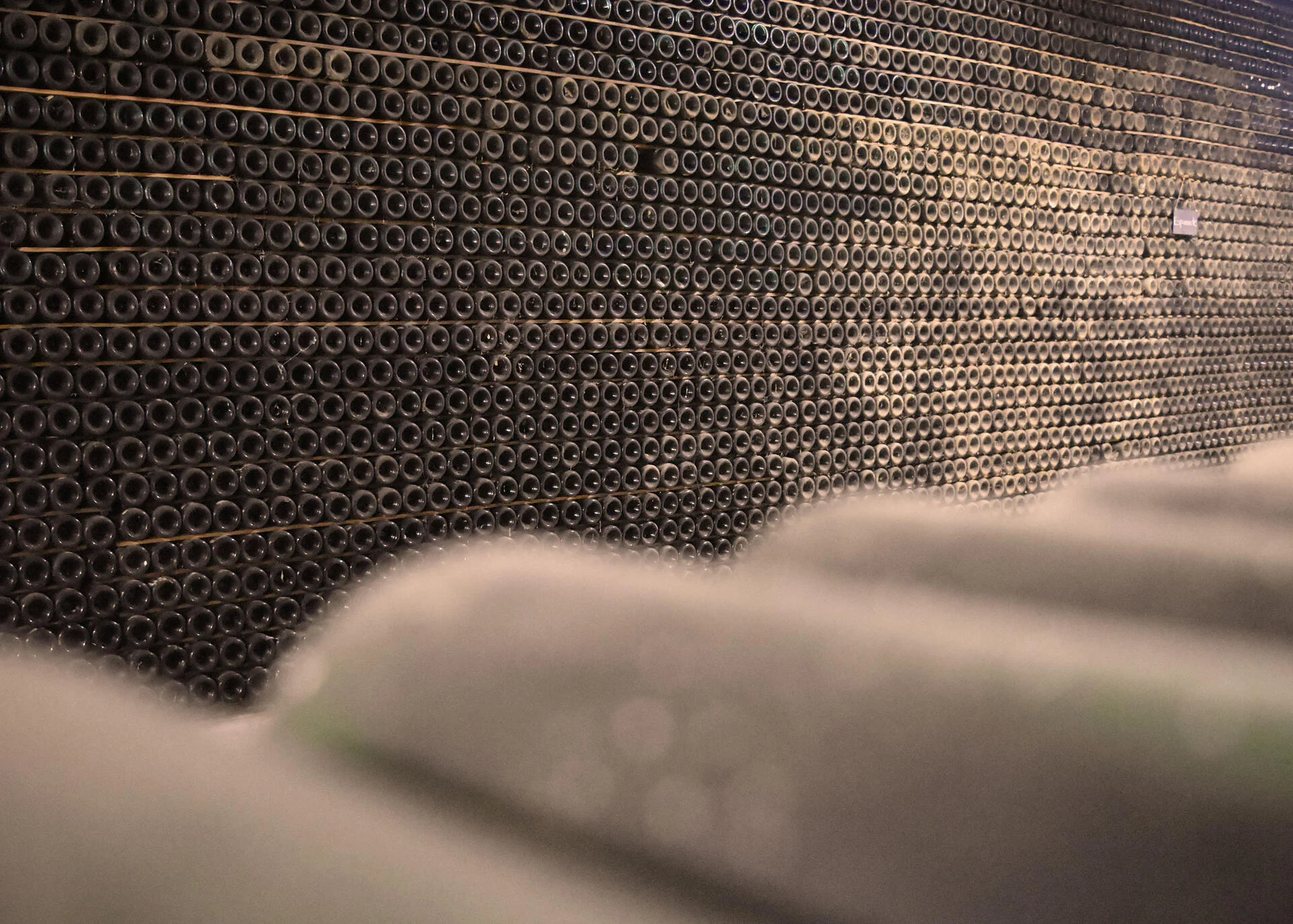 Real Cave do Cedro – Visita & Prova de 2 Vinhos