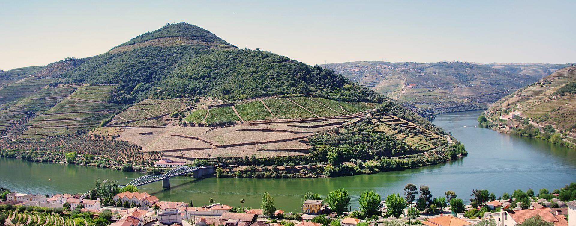 Douro Valley Wine Tour – Wine Venture & Boat Trip
