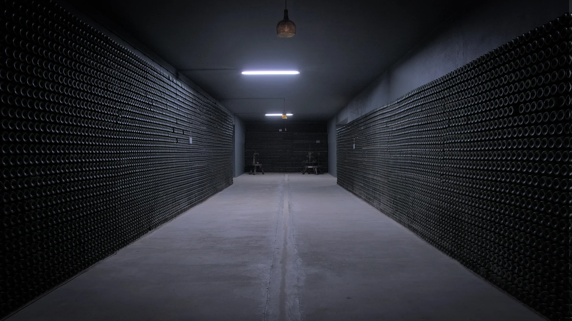 Real Cave do Cedro – Visita & Prova de 4 Vinhos