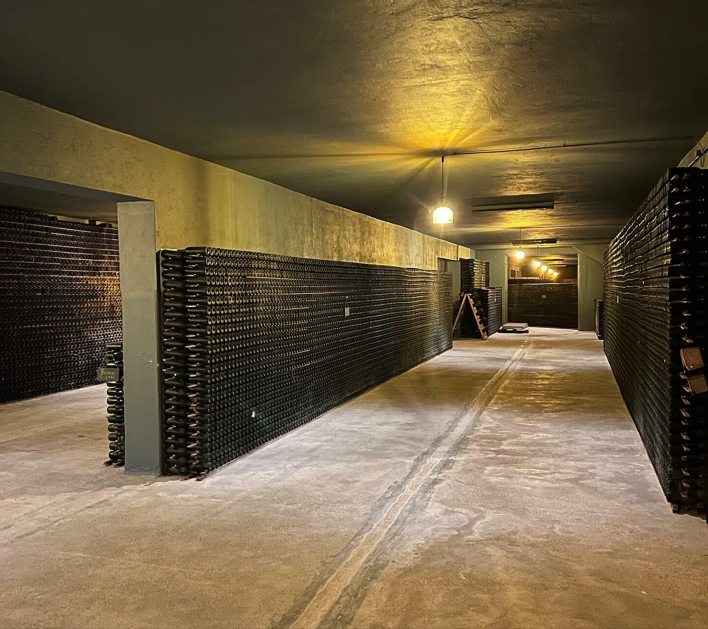 Real Cave do Cedro – Visita & Prova de 4 Vinhos