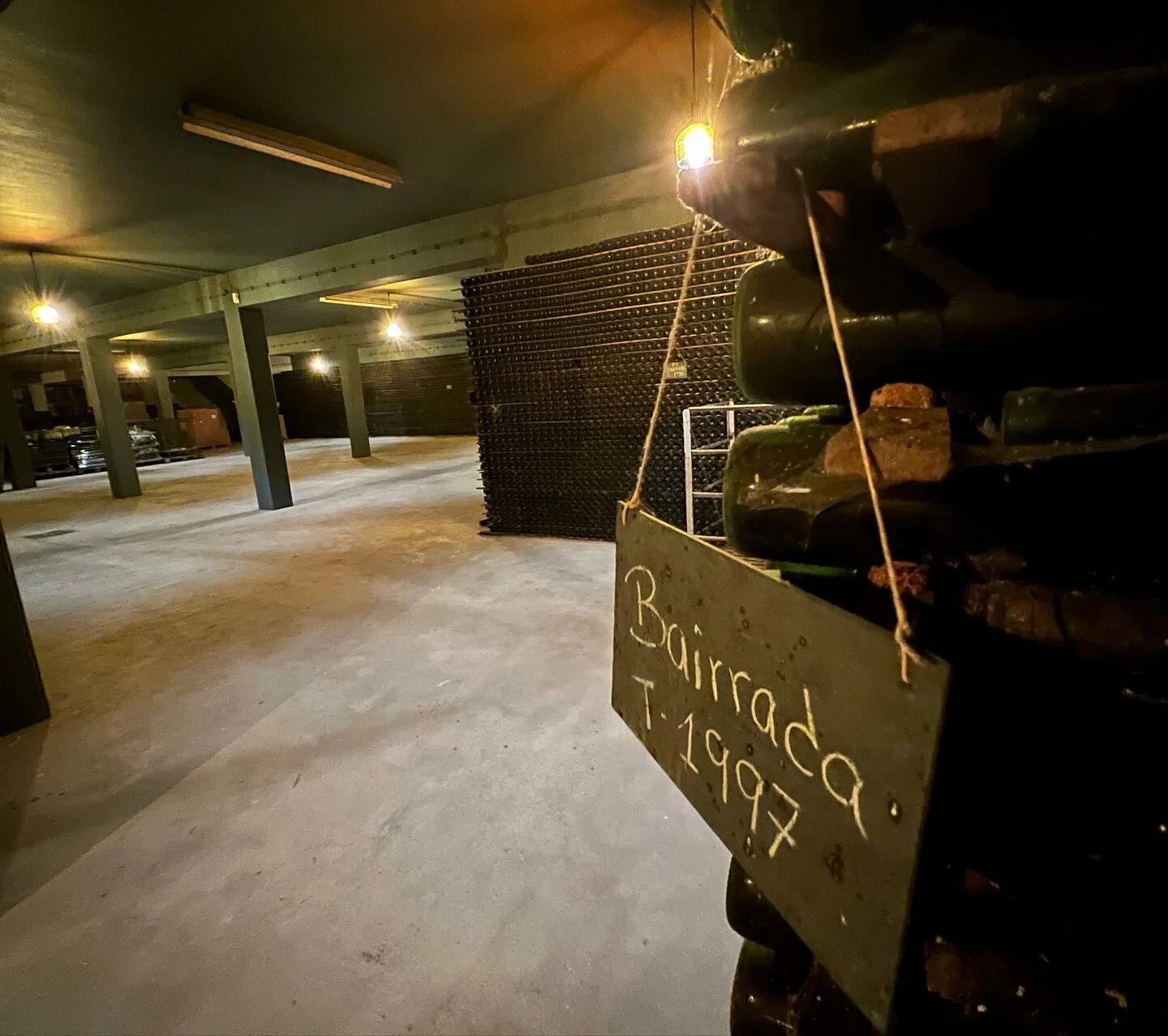 Real Cave do Cedro – Visita & Prova de 4 Vinhos