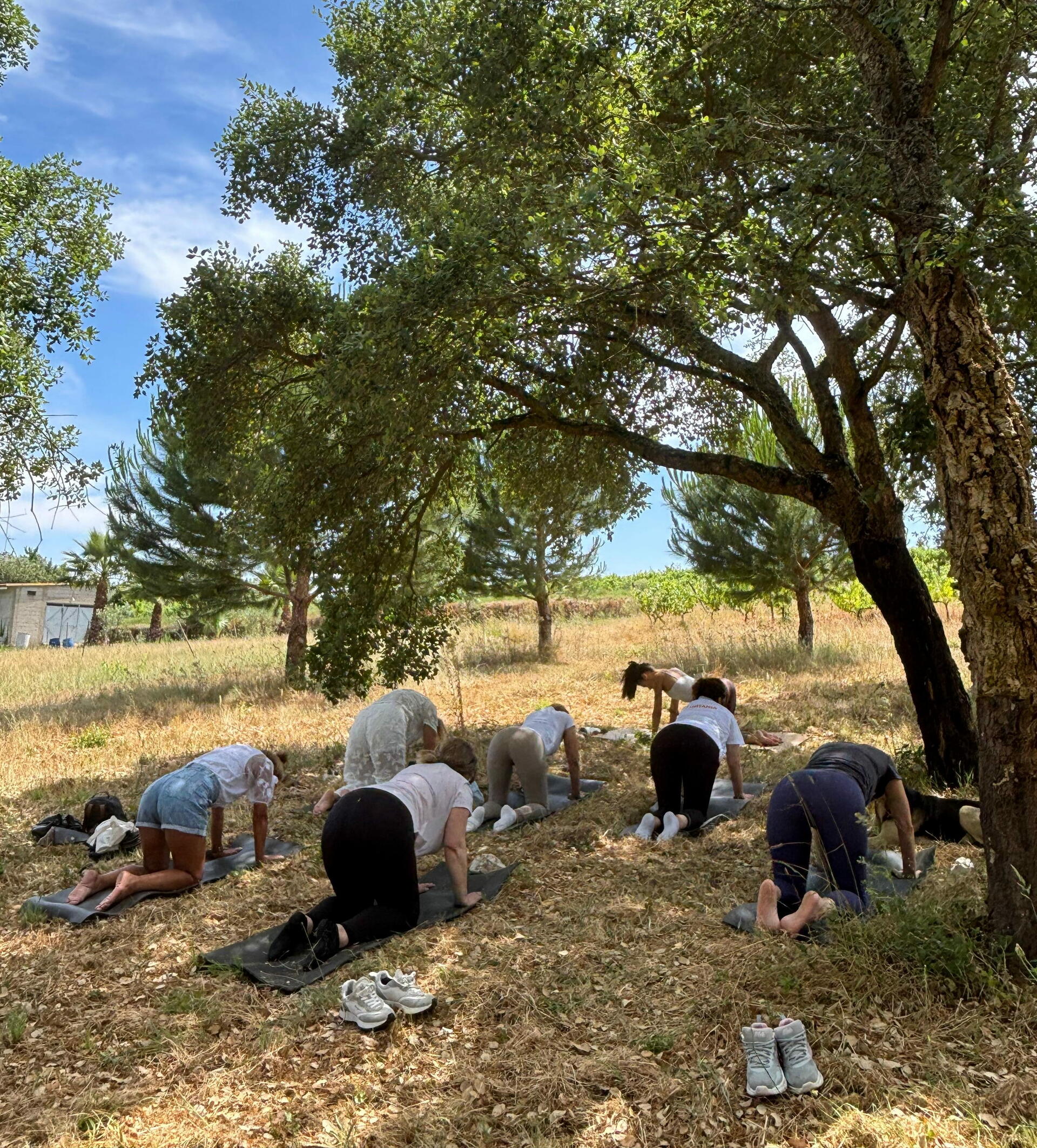 Adega da Gaveta – Ioga, Meditação & Sabores