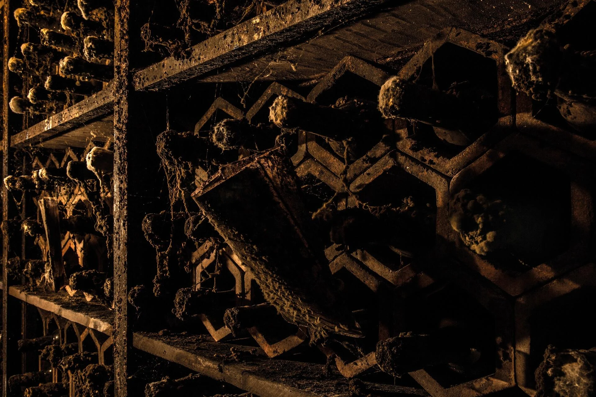 Real Companhia Velha – Visita Porto Royal