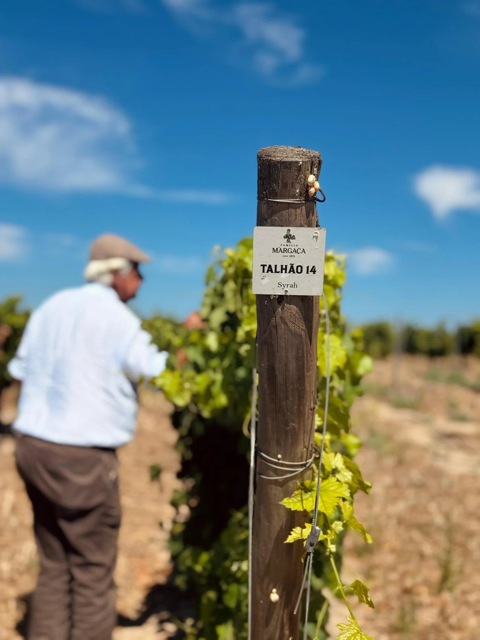 Família Margaça – Visita & Prova de Vinhos “Enxoé”