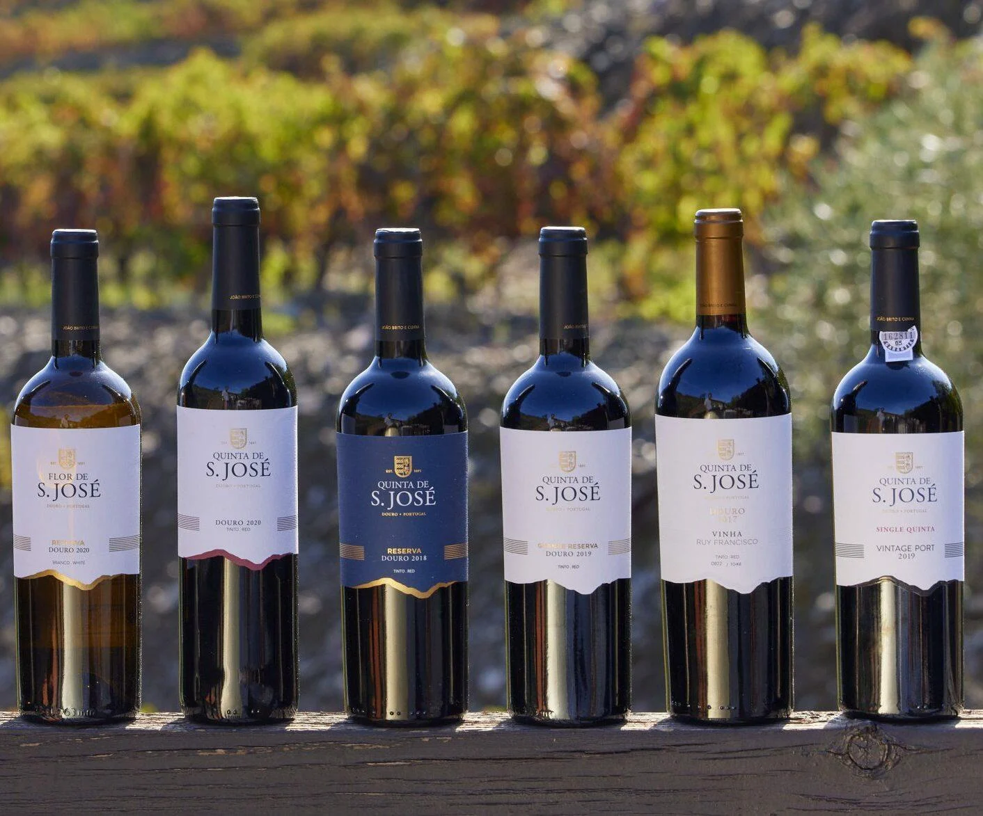 Quinta de S. José – Visita & Prova de 3 Vinhos