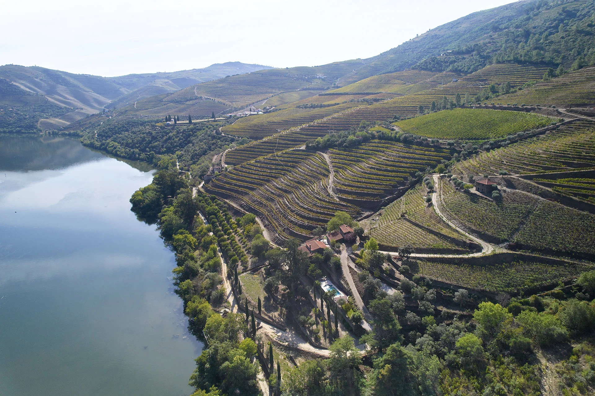 Quinta de S. José – Visita & Prova de 5 Vinhos