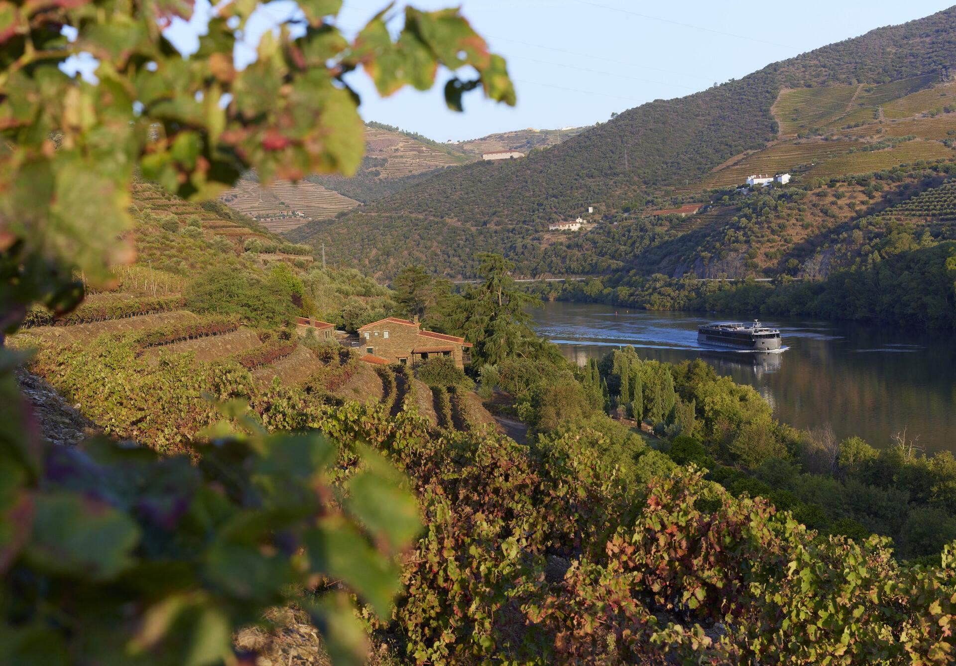 Quinta de S. José – Visita & Prova de 5 Vinhos