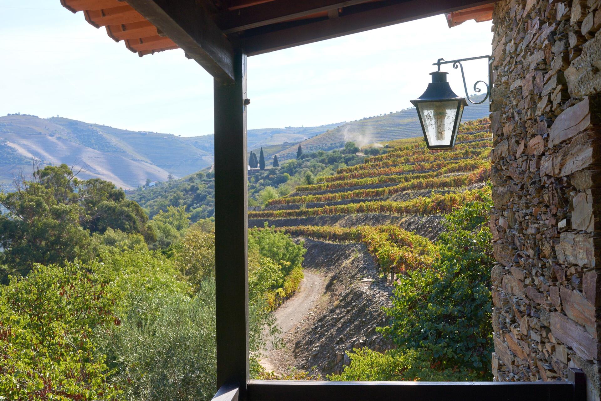 Quinta de S. José – Visita & Prova Completa