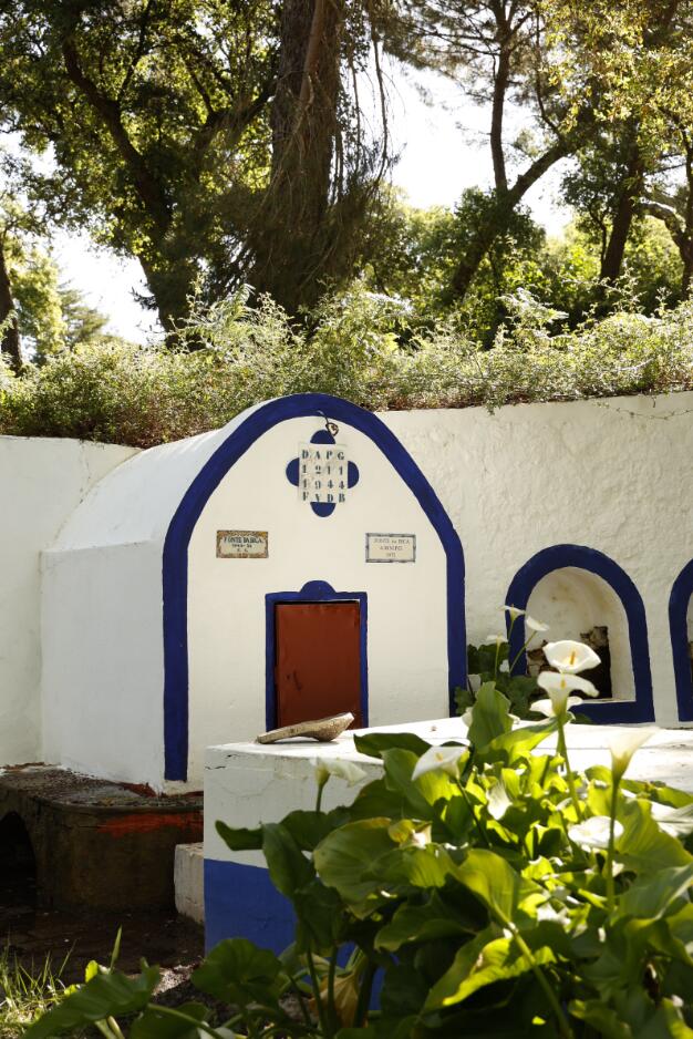 Monte da Bica – Pack Vindima