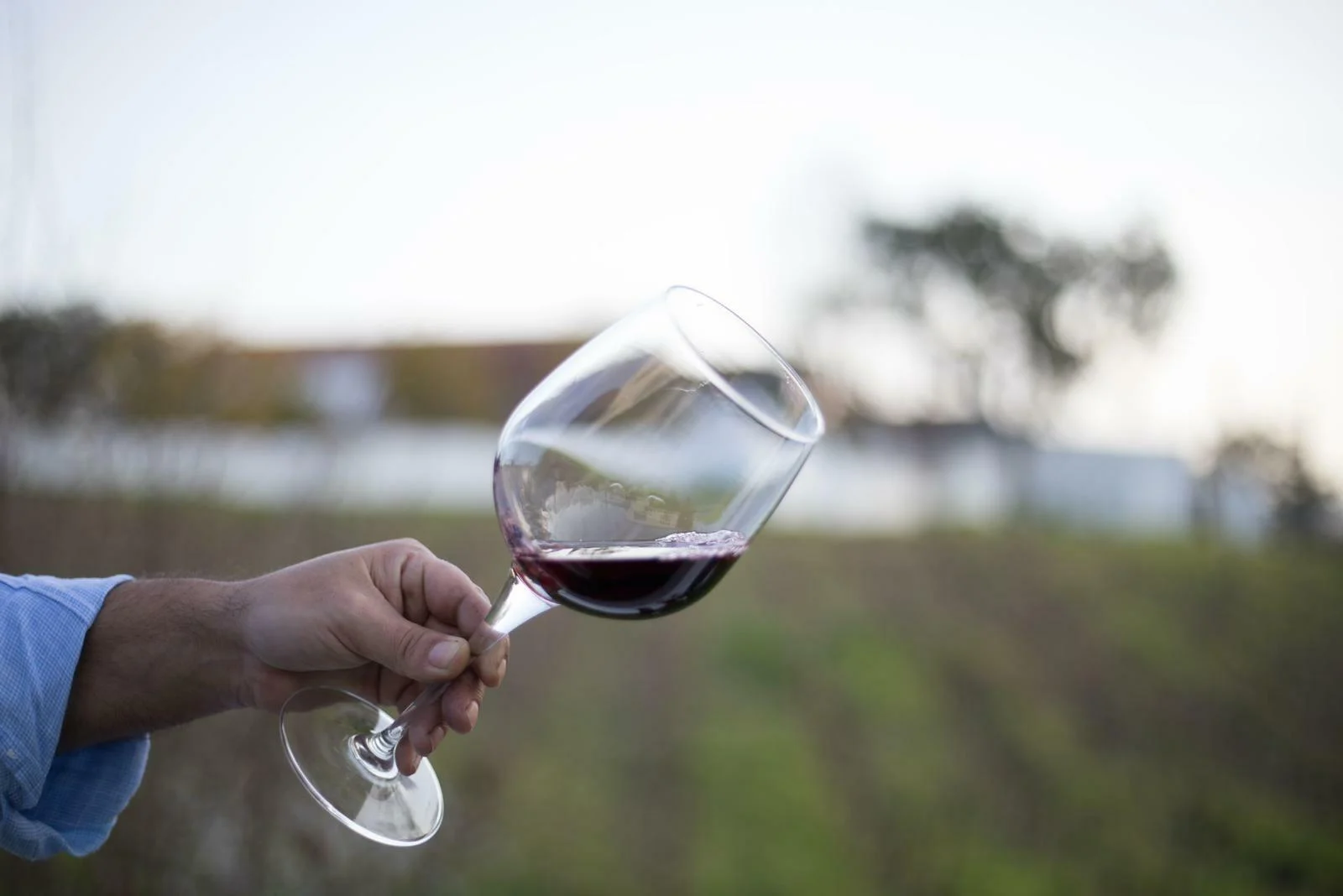 Monte da Bica – Pack Vindima