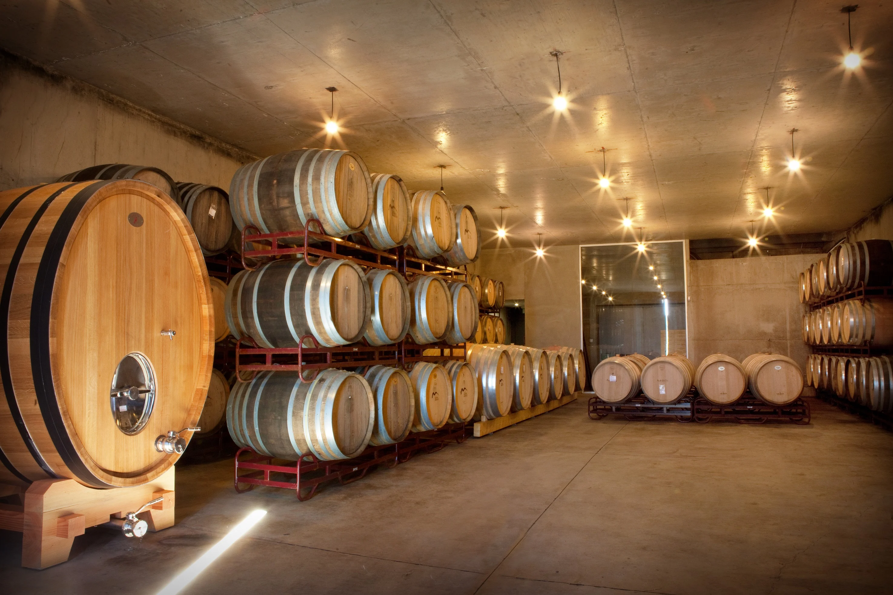 Adega Monte Branco – Prova de Vinhos Topo de Gama