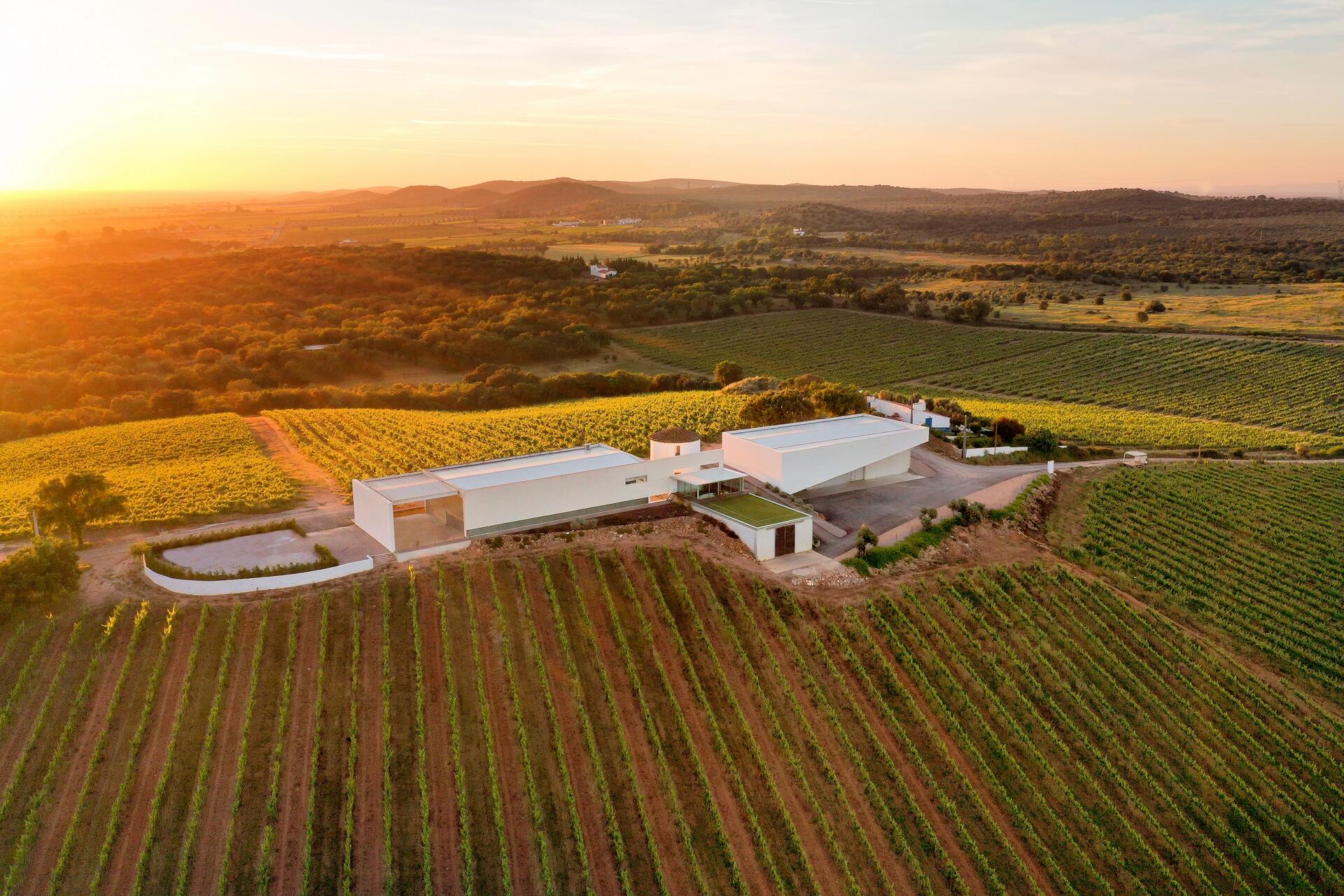 Adega Monte Branco – Prova de Vinhos Topo de Gama