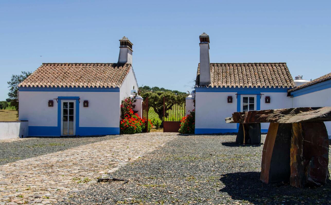 Reynolds Wine Growers – Experiência Mesa de Pedra