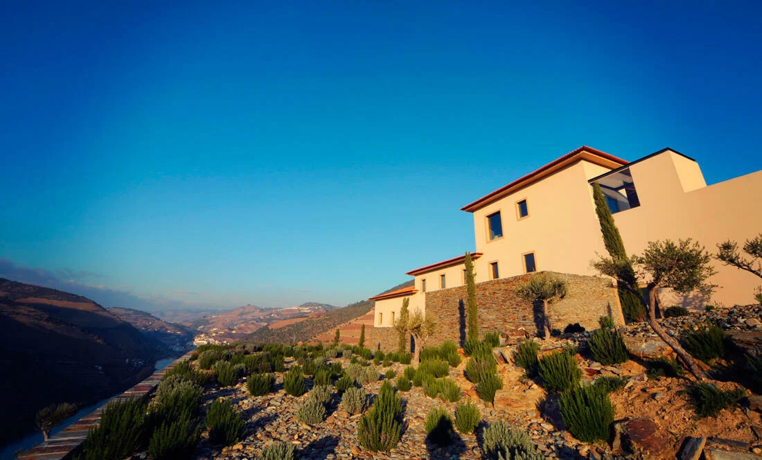 Quinta do Seixo – Programa Especial de Vindima