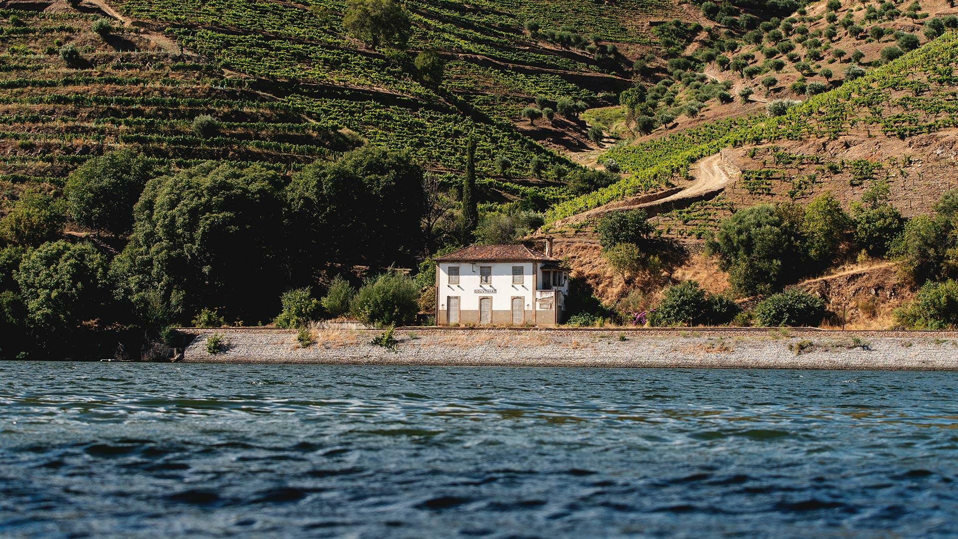 Menin Douro Estates – Prova Reserva