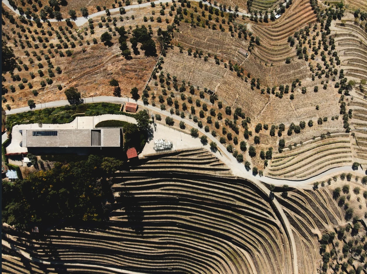 Adega H.O – Visita & Prova “2 Quintas”