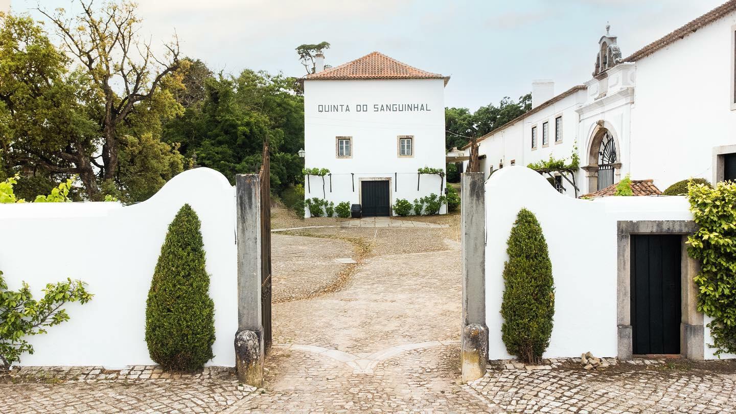 Quinta do Sanguinhal – Visita & Prova Premium