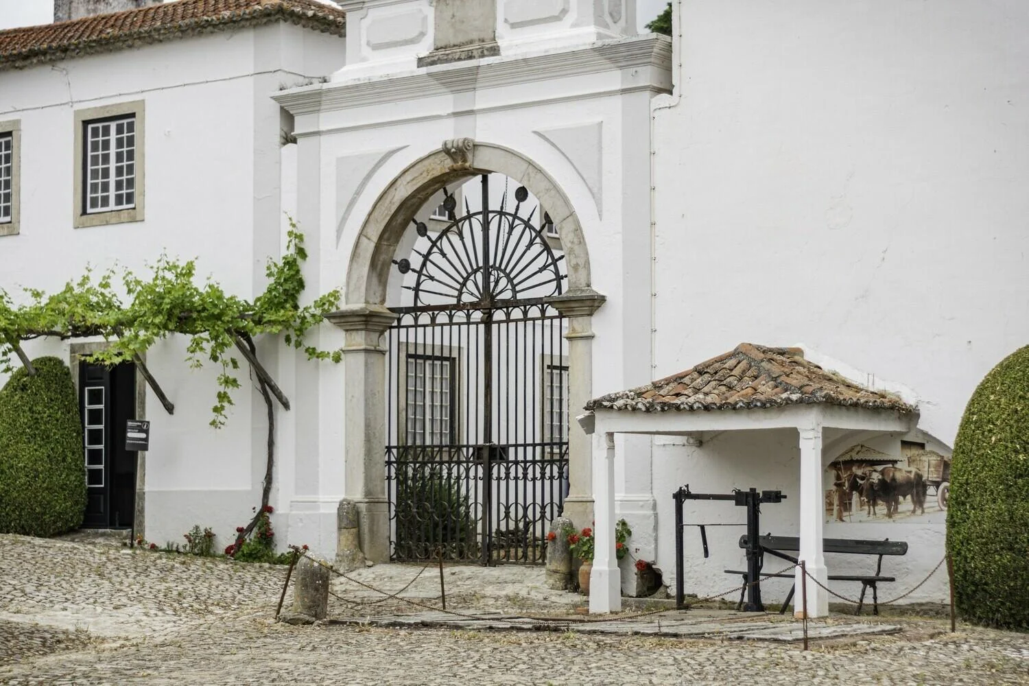 Quinta do Sanguinhal – Visita & Prova Clássica