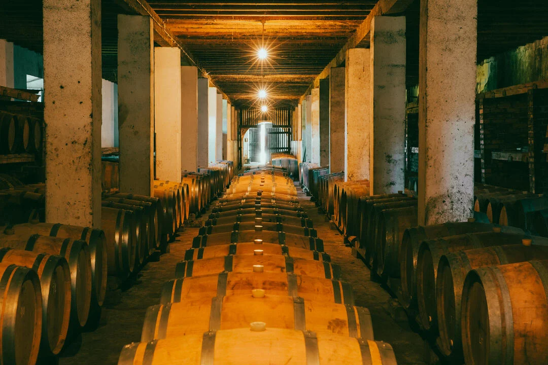 Quinta do Sanguinhal – Visita & Prova Clássica