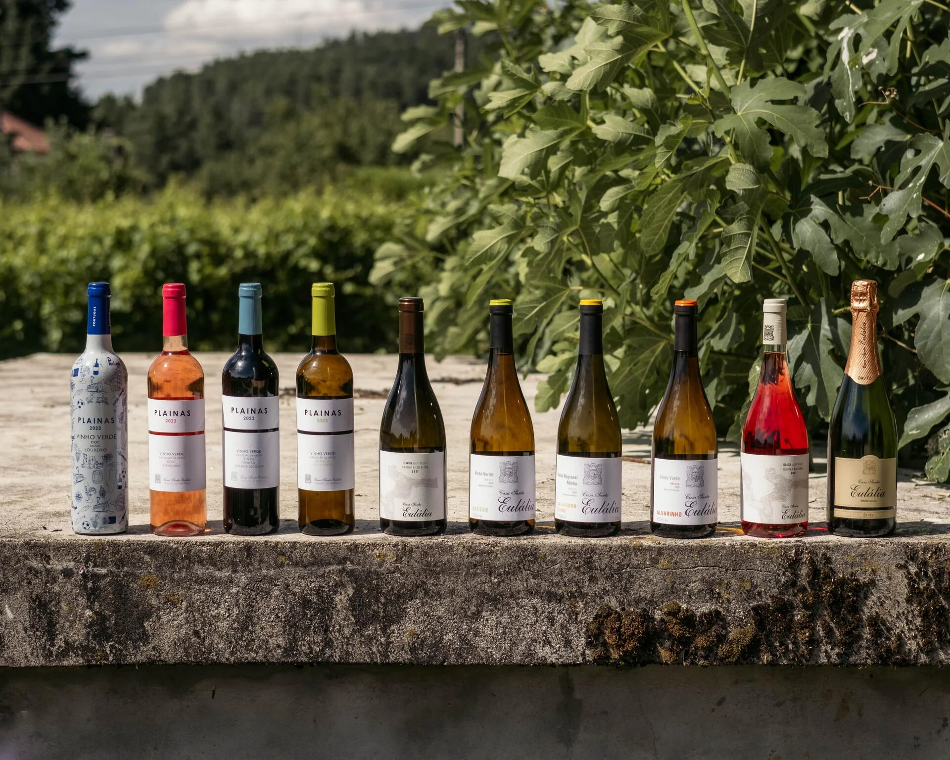 Casa Santa Eulália – Visita & Almoço Regional