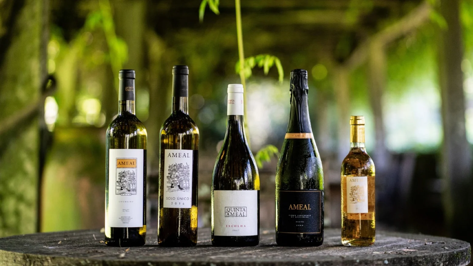 Quinta do Ameal – Visita & Prova de Vinhos