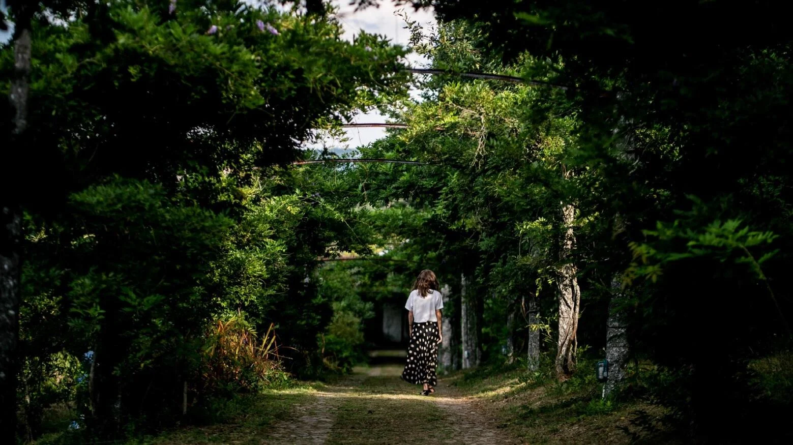 Quinta do Ameal – Visita & Prova de Vinhos